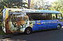 Qtour Bus