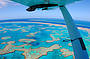 Reef & Whitehaven Discovery